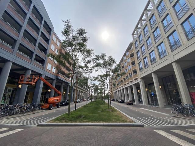 apartment for rent in Parijsboulevard 112 3541CX Utrecht Leidsche Rijn Centrum Utrecht