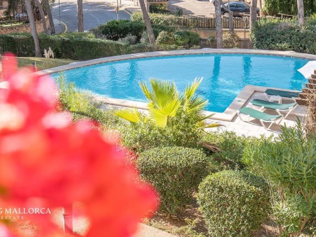 Apartment for rent in Peguera / Paguera, Calvià, Mallorca