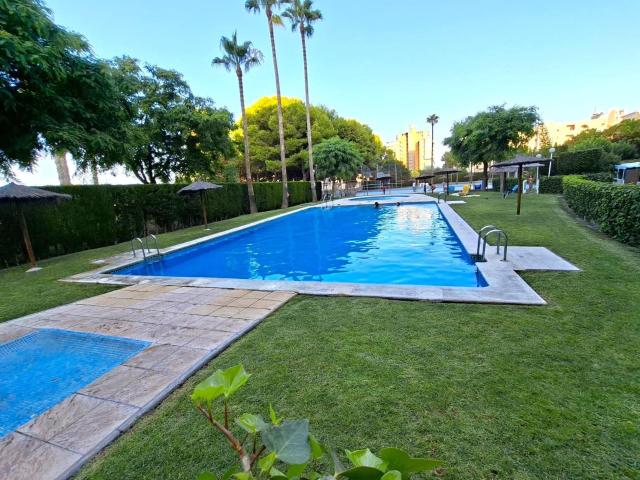 Apartment for rent in Playa de Muchavista, El Campello, Alicante