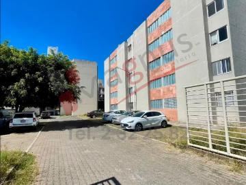 apartment for rent in REAL UNIVERSIDAD
