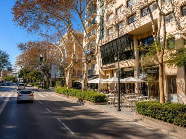 Apartment for rent in Ricardo Soriano, Marbella, Málaga