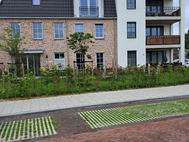 Apartment for rent in Rijnsburg