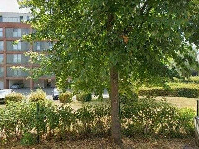 Apartment for rent in Rumst