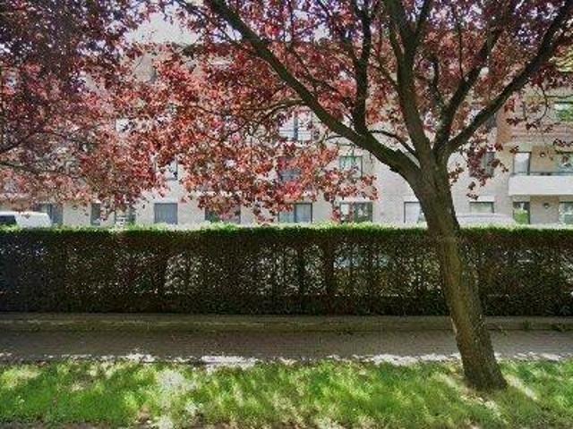 Apartment for rent in Waterloo