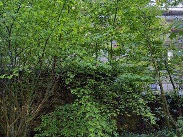 Apartment for rent in Tervuren
