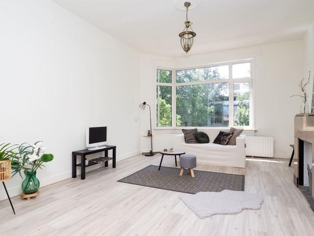 apartment for rent in Thorbeckelaan 457 2564CB Den Haag Vruchtenbuurt Den Haag