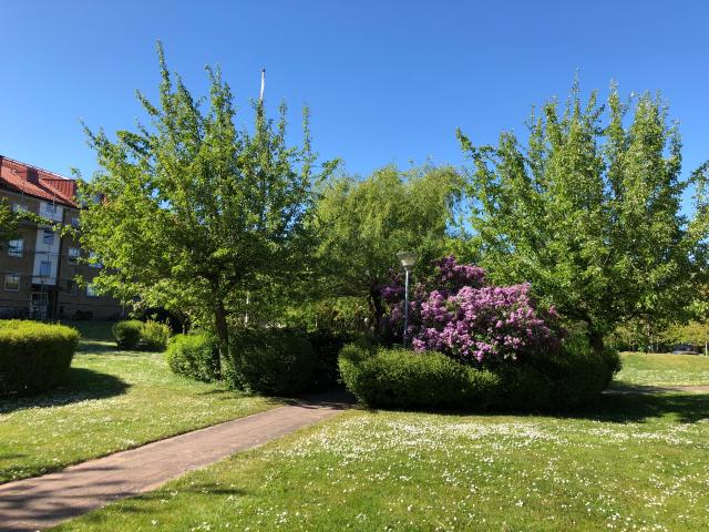 apartment for rent in Trelleborg Väster
