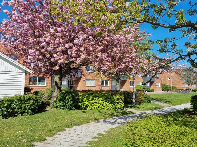 apartment for rent in Trelleborg Öster
