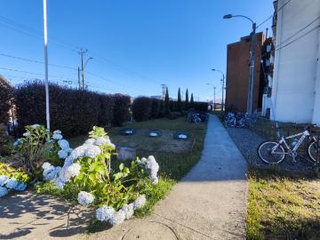 house for rent in Valdivia, VALDIVIA