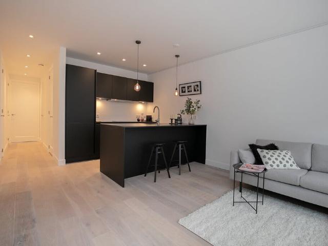 apartment for rent in Van Ostadestraat 40 B 1072SZ Amsterdam Cornelis Troostbuurt Amsterdam