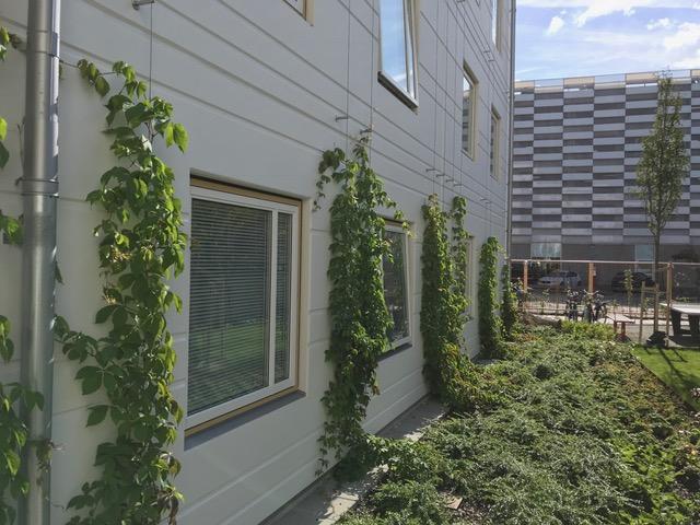 apartment for rent in Västra Hamnen