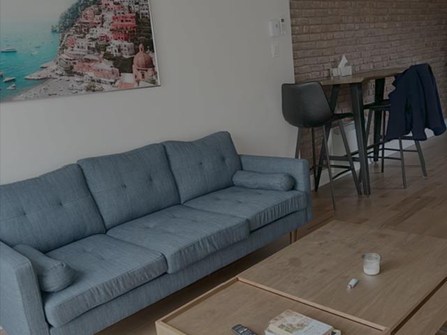 Furnished 2 Bedroom Apartment Great Opportunity in Plateau Mont Royal