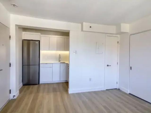 Apartment For Rent Montreal QC 1145 ELS96843893