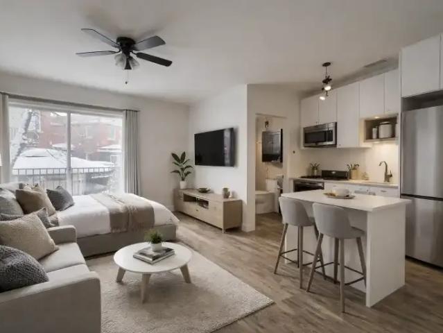 Apartment For Rent Montreal QC 1100 ES100007930