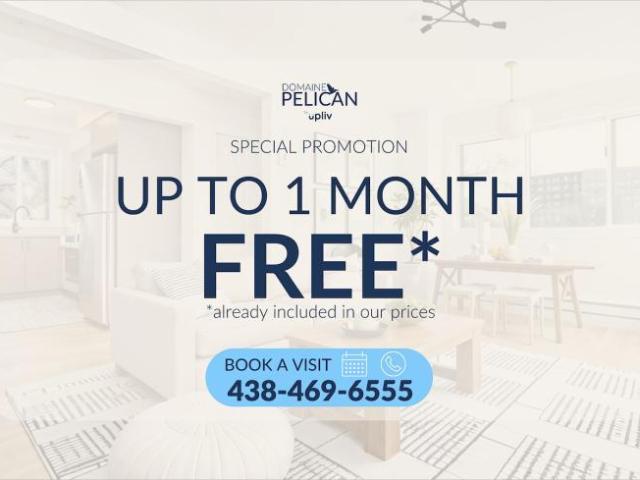 Apartment For Rent Montréal QC 1256 ELS98315060