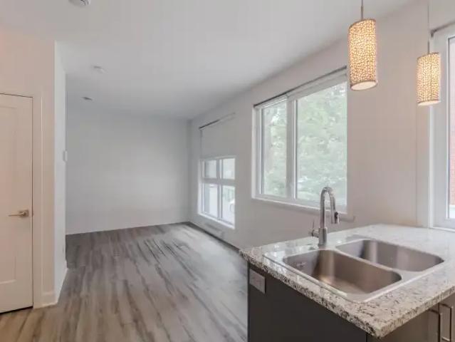 Apartment For Rent Montreal QC 1295 ELS102714906