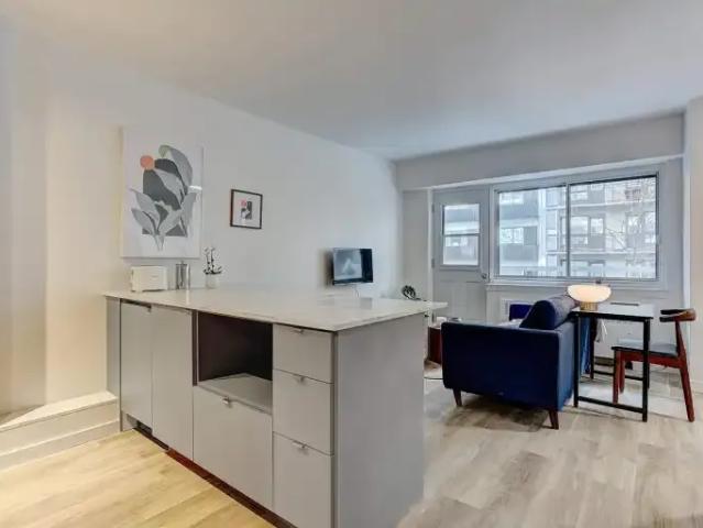 Apartment For Rent Montreal QC 1445 ES101554189