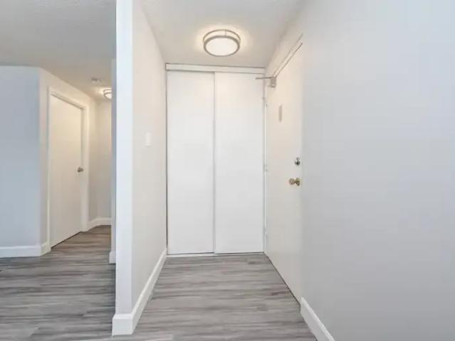 Apartment For Rent New Hamburg ON 1565 ELS99823814