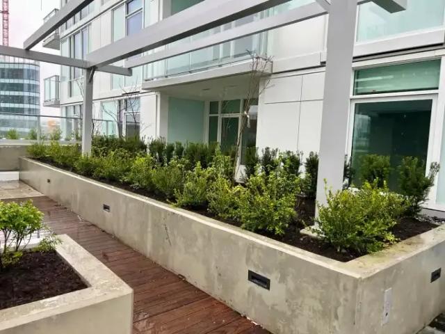 Apartment For Rent Vancouver BC 2132 ES101107597