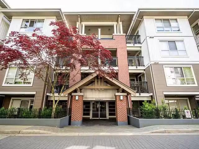 Apartment for sale in Langley, Langley, C Street, 263140254