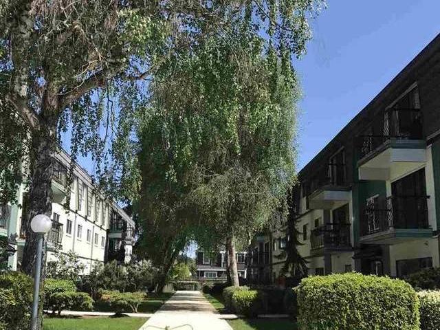 Apartment for sale in South Arm Richmond Richmond 356 8131 Ryan Road 262769772
