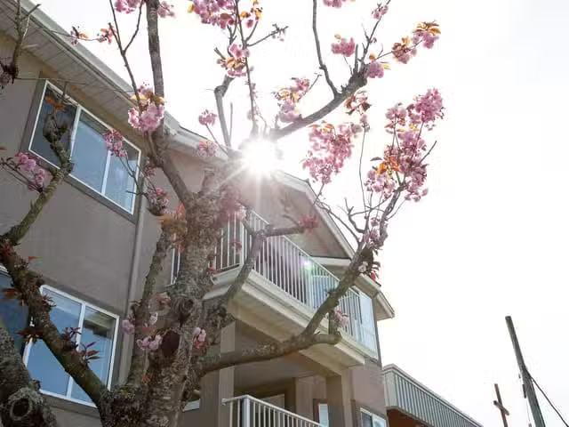 Apartment for sale in Sechelt, Sunshine Coast, 307 5711 Mermai.