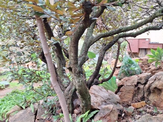 Apartment / Flat To Rent in Wapadrand, Pretoria