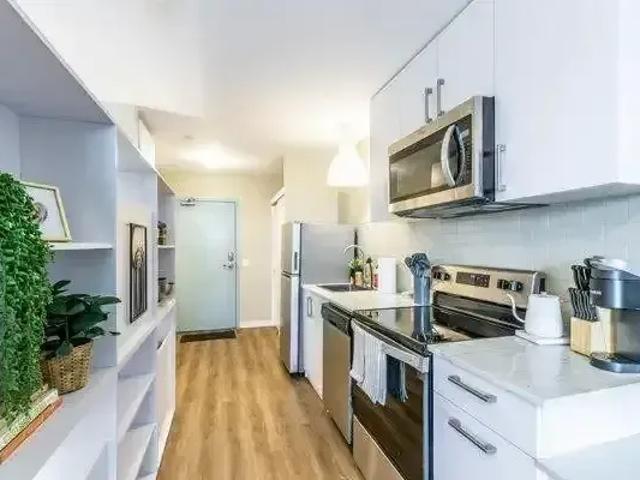 Apartment Kitchener ON LS88937282