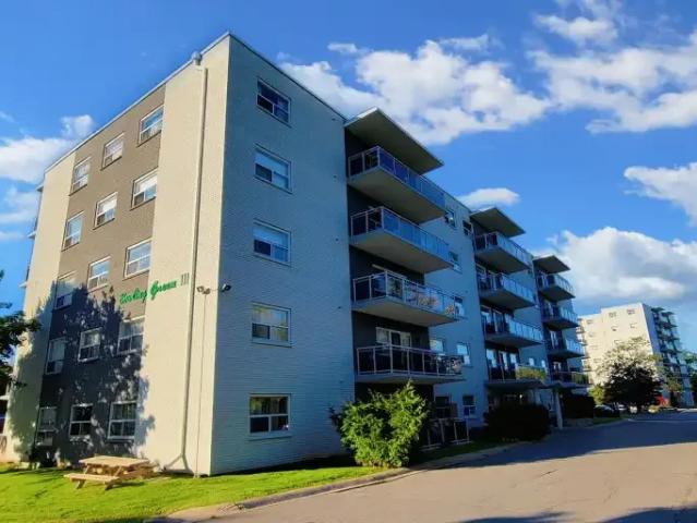 Apartment Kingston ON 103178561