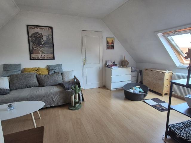 apartment Haguenau