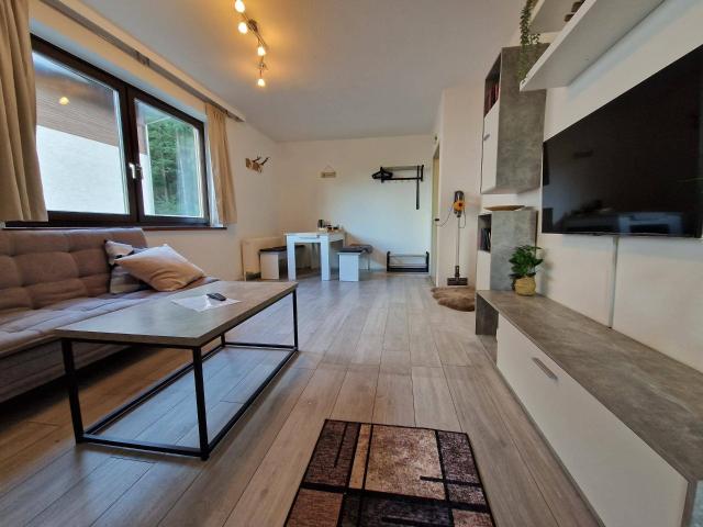 Apartment in Bad Goisern