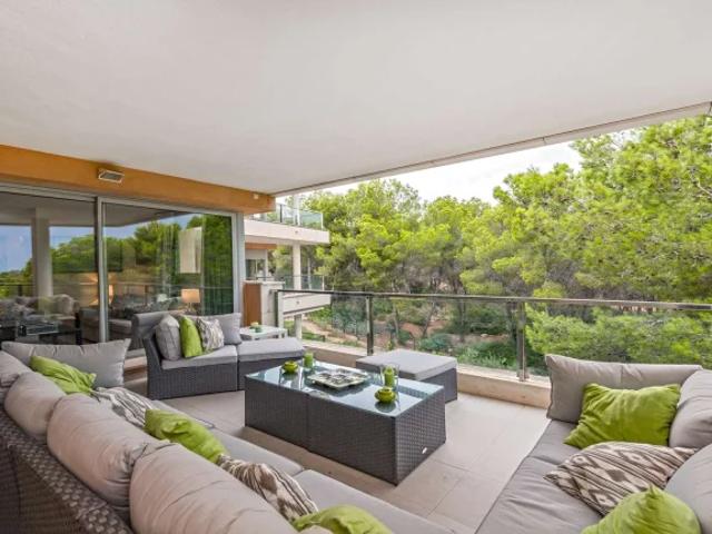 apartment in Spain, Calvià / Sol de Mallorca