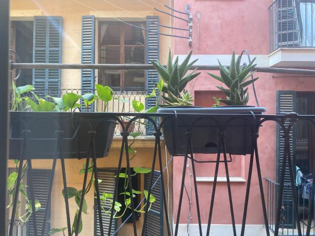 Apartment in Palma de Mallorca
