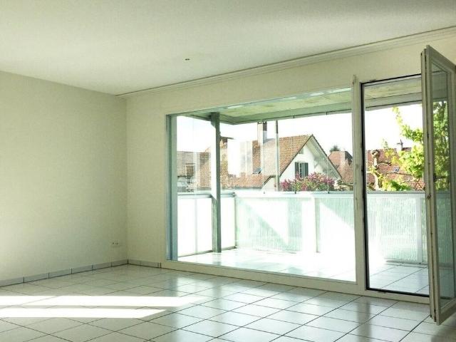 Apartment is looking for a single person