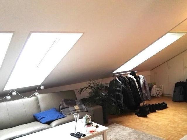 Apartment is looking for a single person