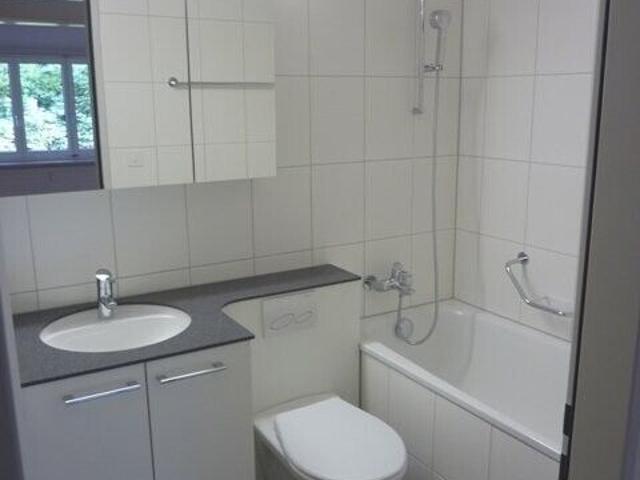 Apartment is looking for a single person
