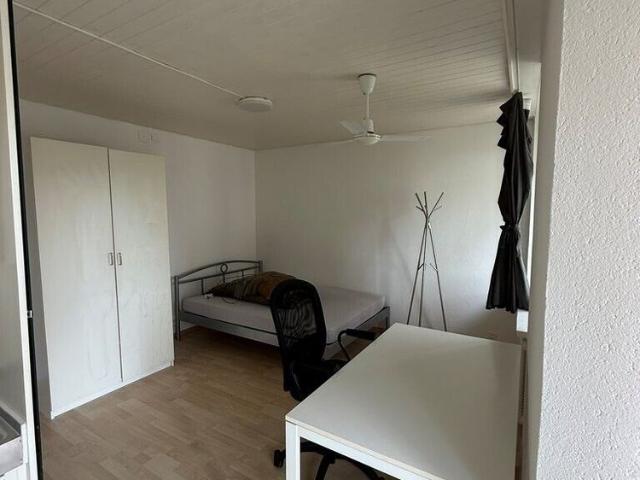 Apartment is looking for a single person