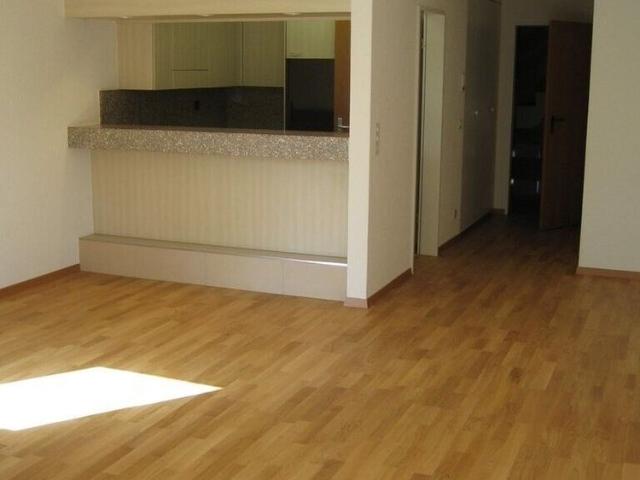Apartment is looking for a single person