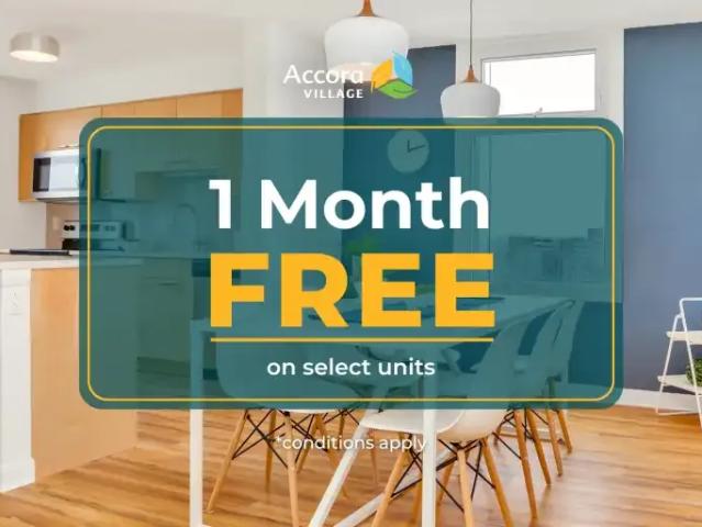 Apartment Ottawa ON 103694441