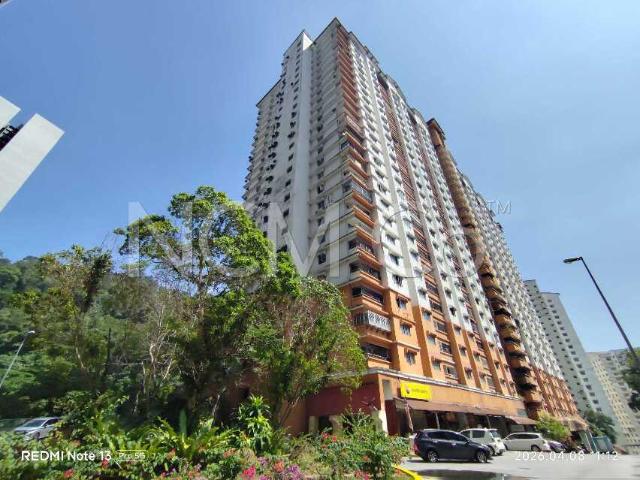 Apartment, Medium Cost