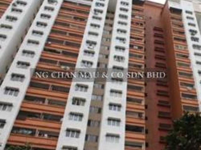 Apartment, Medium Cost