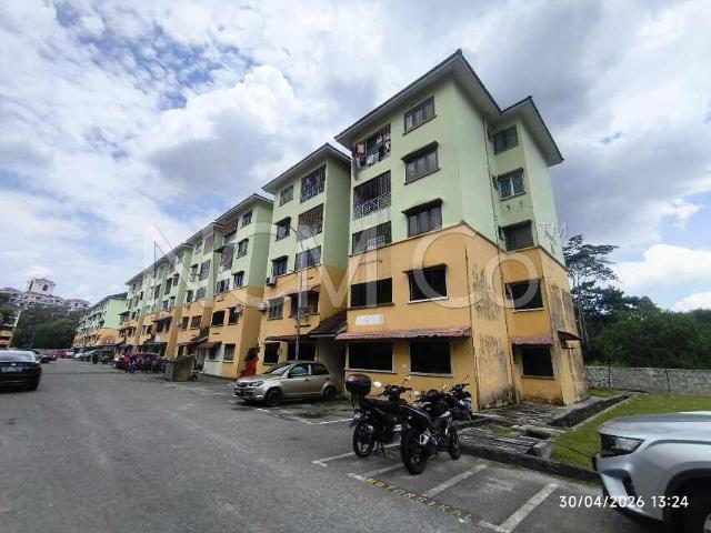 Apartment, Medium Cost