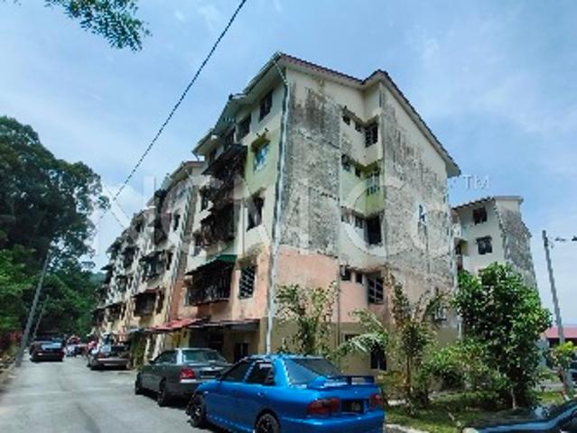 Apartment, Medium Cost