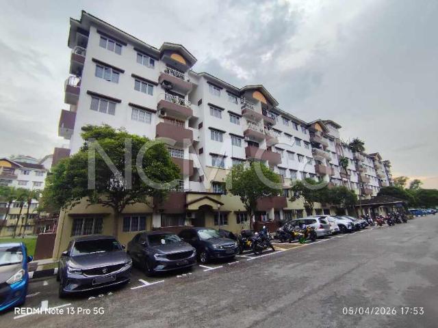 Apartment, Medium Cost