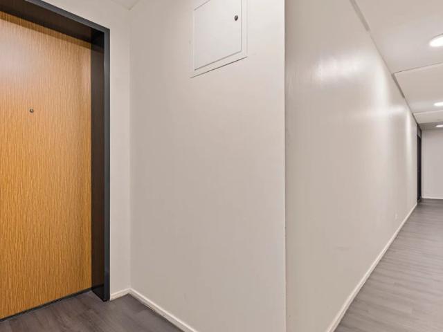 Apartment near THUAS Den Haag