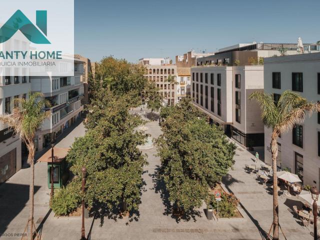 Apartment Sevilla Centro