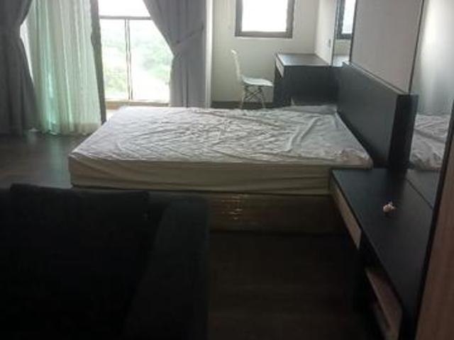 Apartment studio