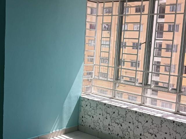 Apartment palm garden klang