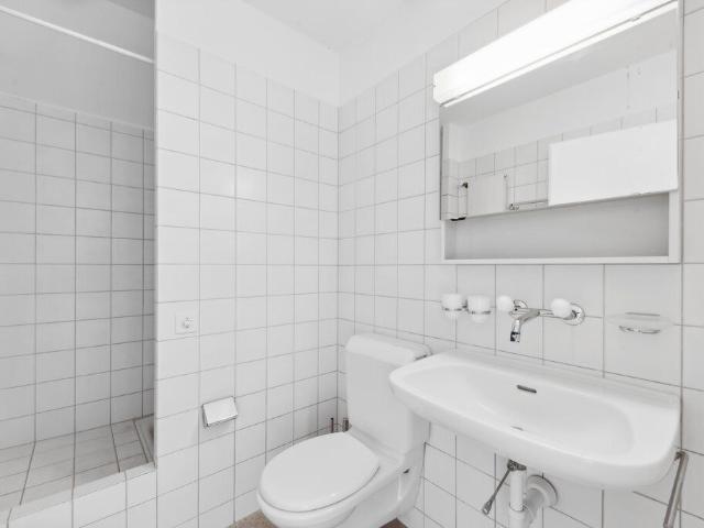 Apartment with 4 rooms for rent in Basel 90 m² | dreamo. Ch