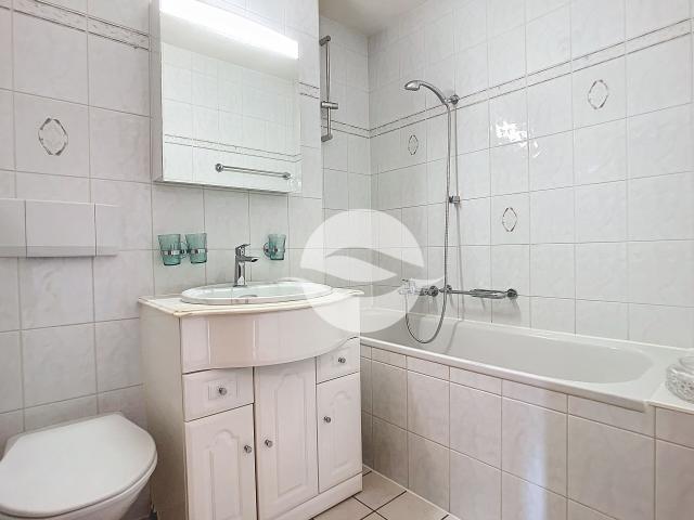Apartment with 4 rooms for rent in COPPET Riamoz 85 m² | dreamo. Ch